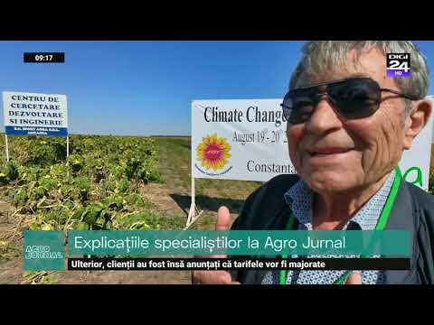 Experiment în câmp la floarea soarelui. Explicațiile specialiștilor la AgroJurnal. #Digi24