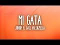 Junior H x Gael Valenzuela - MI GATA (Letra/Lyrics)