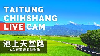 Taitung · Chihshang Paradise Road live stream