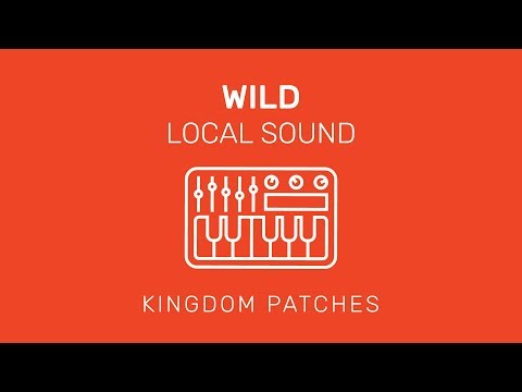 "Wild" Local Sound - Mainstage 3 Patch