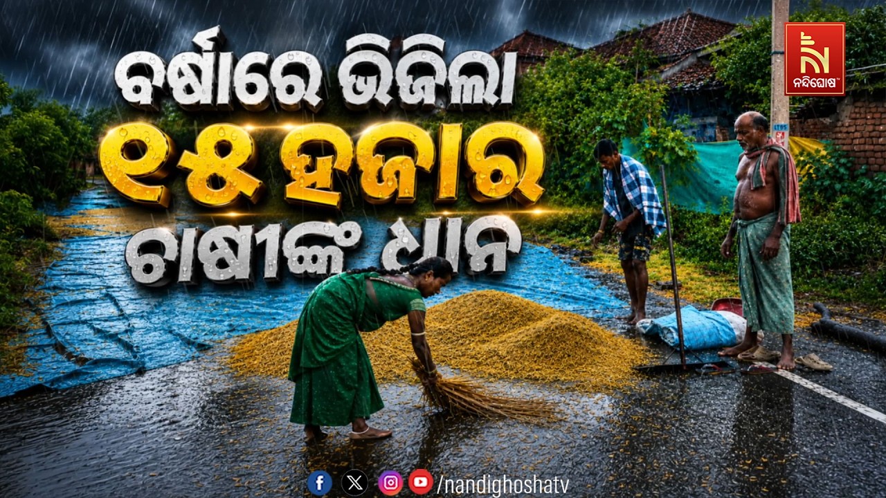 🔴 Live | ବର୍ଷାରେ ଭିଜିଲା ୧୫ହଜାର ଚାଷୀଙ୍କ ଧାନ