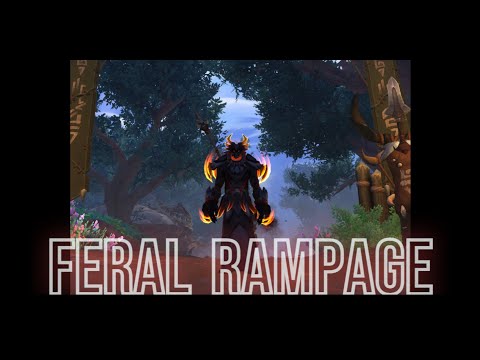 Feral Druid PVP Montage Dragonflight