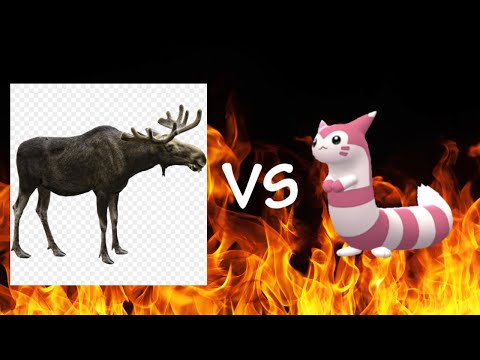 AN INSANELY CLOSE MATCH!!! aWiseMoose vs. Lilithuwu (CSC ELITE LEAGUE)