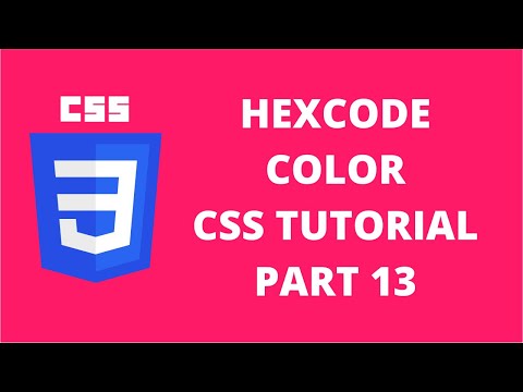 Hexcode Color CSS | CSS Tutorial Part 13