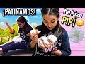 ¡NIÑERA POR UN DÍA DE UN CONEJO! - Gibby :) ¡NIÑERA POR UN DÍA DE UN CONEJO! - Gibby :)