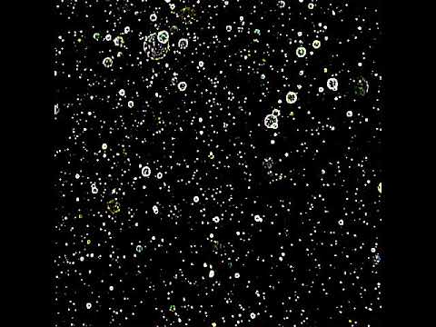 Støvaland - lost (acoustic version)