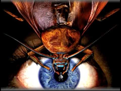 Xorcist - Bad Mojo Soundtrack