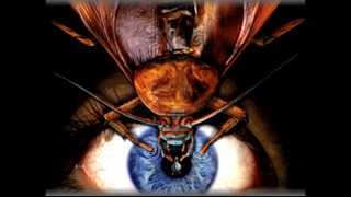 Xorcist - Bad Mojo Soundtrack