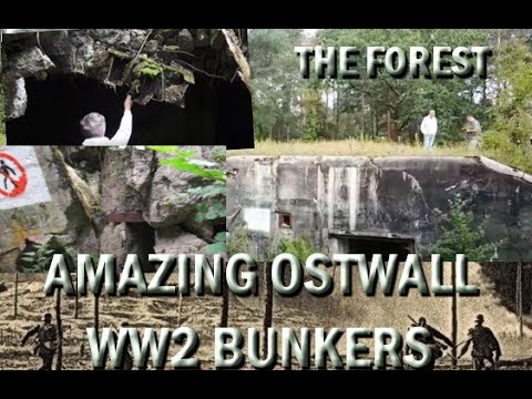 AMAZING WW2 EAST WALL BUNKERS ep4 THE FOREST
