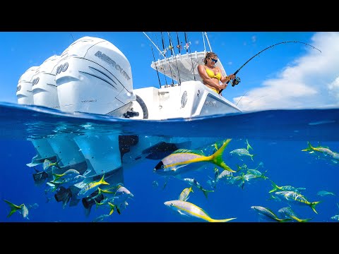 The Most POPULAR Fish in the Florida Keys - Yellowtail Snapper Fishing Frenzy