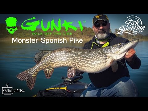 Gunki TV - Monster Spanish Pike - Fish Spotting (French Subtitles)