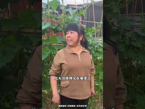Ah Qin's Vegetable Harvest Extravaganza: A Glimpse into Rural China