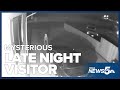 Caught on Camera: Mysterious late night visitor... from another world?