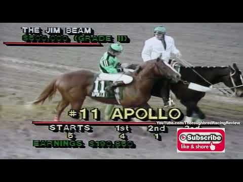 1991 JIM BEAM STAKES   HANSEL finds his way home