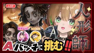 【#第五人格 】人形師Aバッチ目指す！？夜ランクマ(華月ちゃん　もあたろう)　『コラボ』 #第五人格 ＃identityv#新人vtuber #ゲーム実況ライブ＃Avvy#shorts