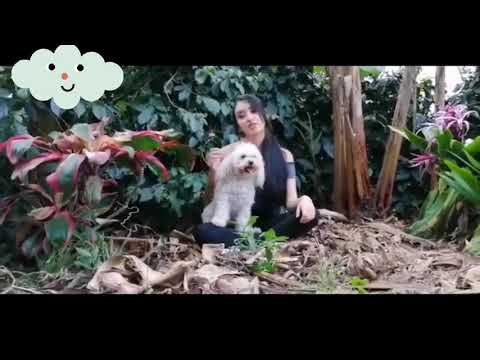 My au pair video - Ingrid Arévalo, Colombia
