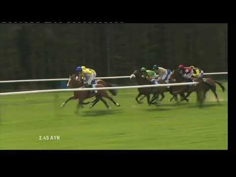 2010 Samsung Electronics Scottish Champion Hurdle