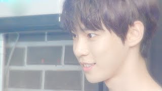 [N'-10] STAR BLOSSOM AND DOYOUNG 도영이와 별빛이 피면