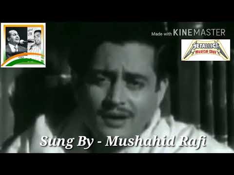 Mushahid Rafi jane wo kai...