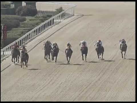 2019-02-16 Race 1(0151) - THE GOOD YEAR