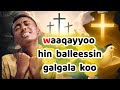 Adaraa Hin Balleessine Galgalako Faarfannaa Afaan Oromoo Abdii Mana Galgalaa