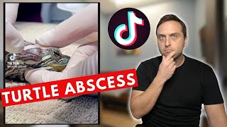 Vet Reacts To CRAZY TikToks