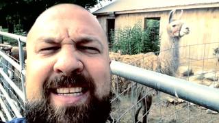 SUMMER IN THE 603 (Roots of Creation / SSP)