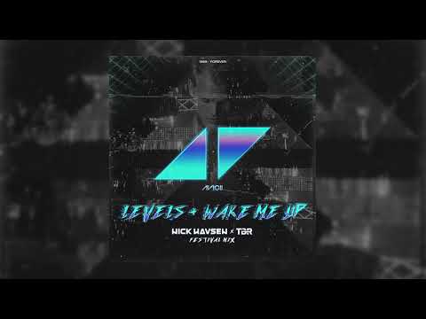 Avicii - Levels + Wake Me Up (Nick Havsen & TBR Festival Mix)