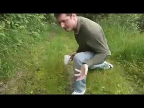 Dieses Gebiet hier ähnelt auf keinem Fall dem Tropischen Regenwald