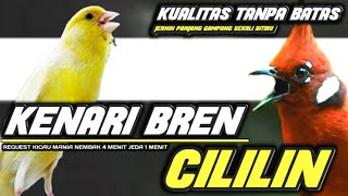 Download lagu KUALITAS TOP‼️KENARI BREN SAMBUNG CILILIN PANJANG JERNIH || MASTERAN KENARI VS CILILIN PANJANG mp3 Download lagu KUALITAS TOP‼️KENARI BREN SAMBUNG CILILIN PANJANG JERNIH || MASTERAN KENARI VS CILILIN PANJANG mp3