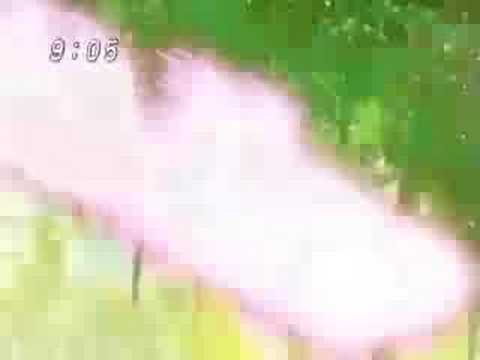 Battle for the last Holy Stone