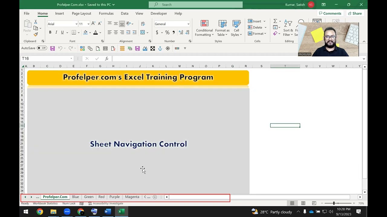 Excel Worksheet Navigation Control   Profelper   Basic Excel Training