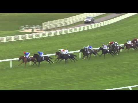 2015 Champion Stakes - Fascinating Rocks - Racing TV
