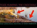 "Tiger vs. Crocodile: Epic Battle in the Wild". Ranthambhore national Park.