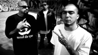 cartel de santa celso piña guadalupe lupe lupe