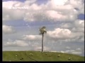 EXTREMELY RARE Teletubbies Windmill Clip