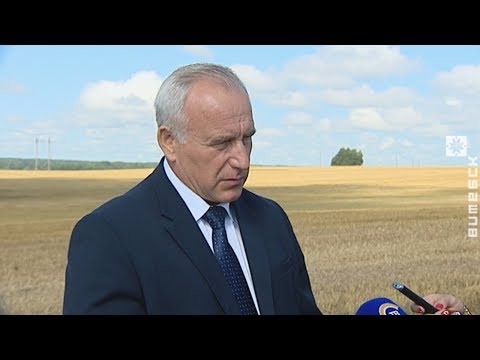 Выпуск беконной свинины наладили в Толочинском районе (21.08.2018)