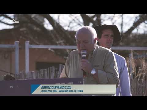 Vientre Supremo 2020