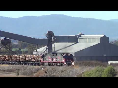 PHC002+PHC001=Caroona