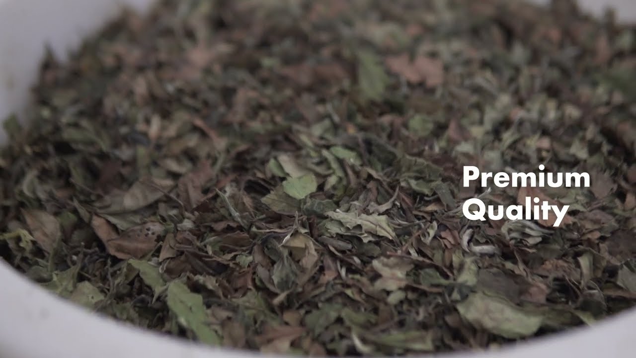 Alveus, your premium bulk teas and infusions wholesaler