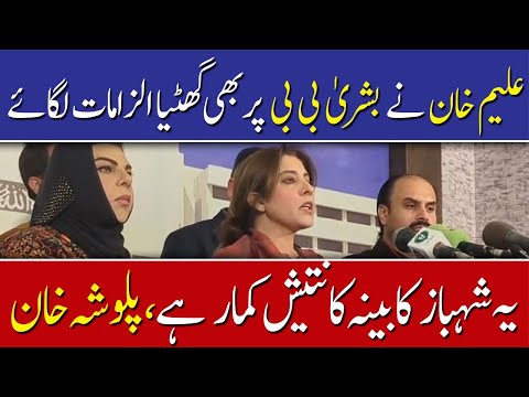علیم خان نے بشریٰ بی بی پر گھٹیا الزامات لگائے، پلوشہ خان