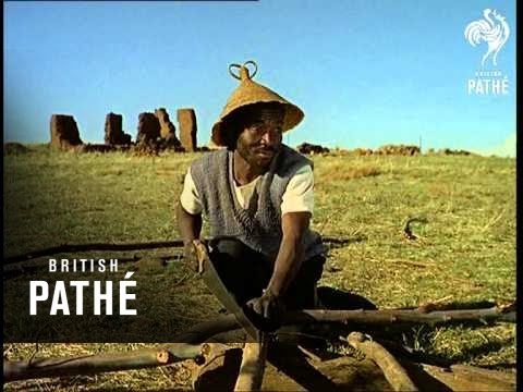 Out Takes / Cuts From Cp 686 - Reel 1 Of 2 - Emergent Africa (1968)