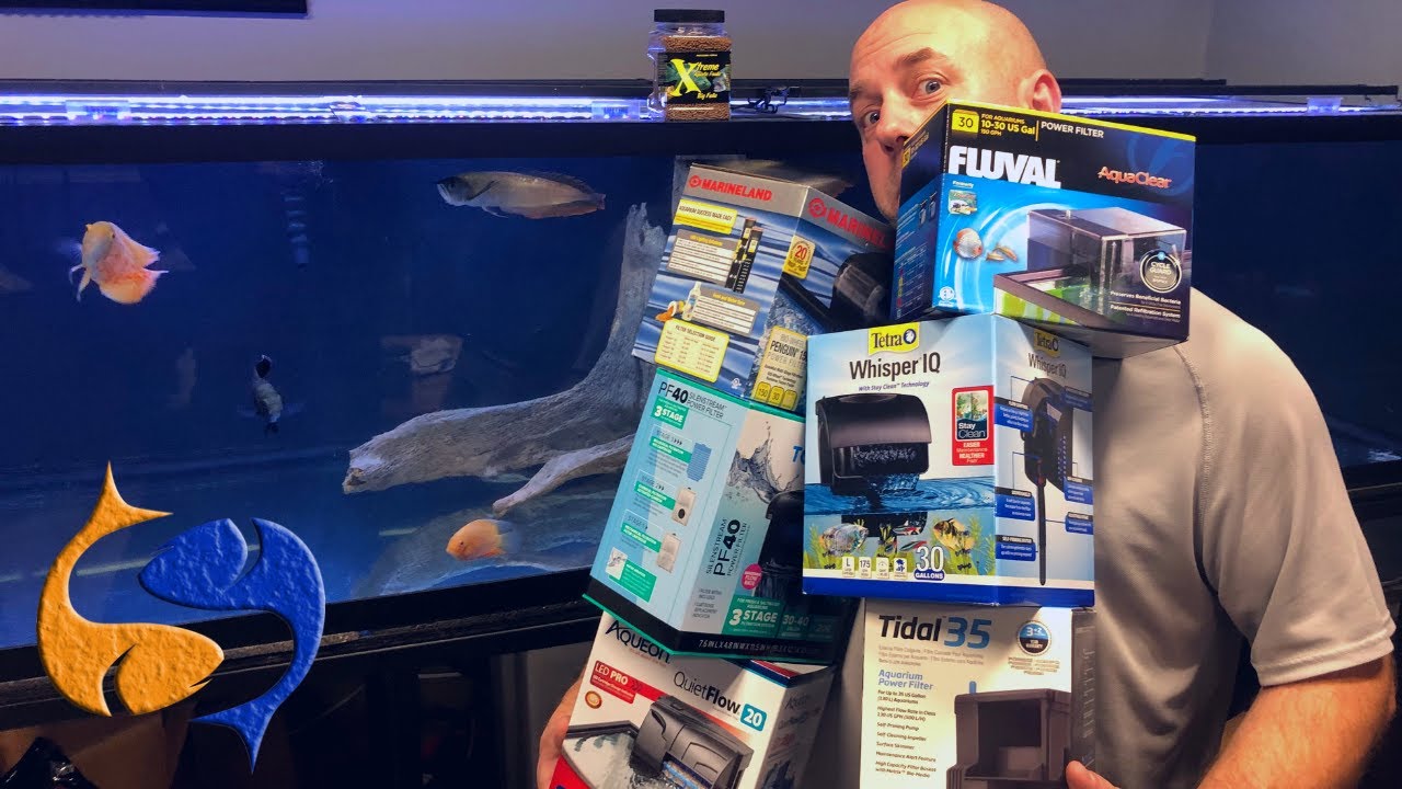 Which Hang On Back Filter Is Best The Wrap Up!