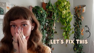 the plants I've been hiding from you 😩 (wally grow planter makeover)