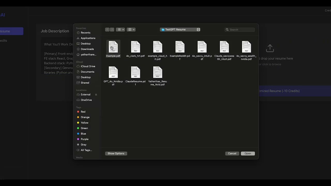 Swift Resume Demo (Launch Day)