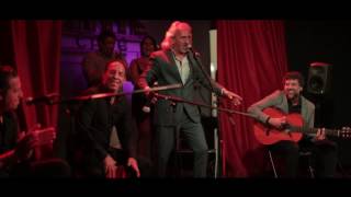 De Cerca En El Berln Capullo de Jerez