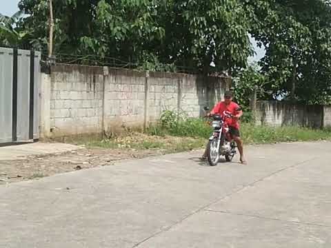 tmx 125 alpha vs micro 125