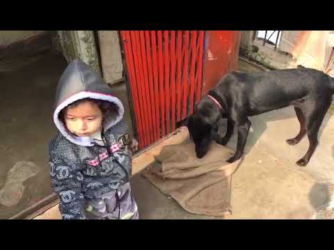 shambhavi with doggy playing