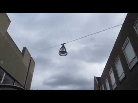 The Student Shane Koyczan