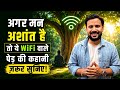 MOTIVATIONAL VIDEO अगर मन अशांत है तो ये WiFi वाले पेड